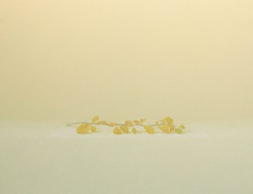 WATOU. Juan Carlos Lázaro “Pintura Pura” Del 27 de marzo al 25 de abril 2021. De Queeste Kunstkamers.