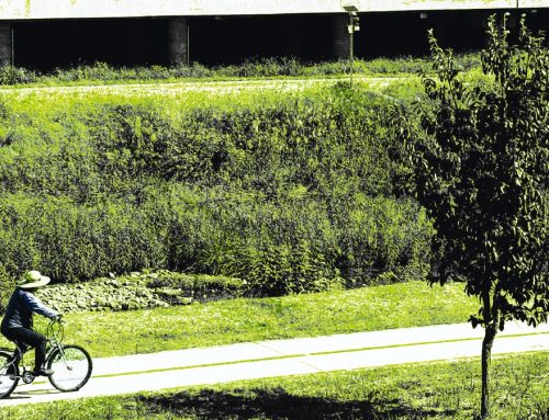 GWANGJU.- Albano Hernández “El Camino” del 8 al 18 de abril 2026. Horanggasy Creative Studio