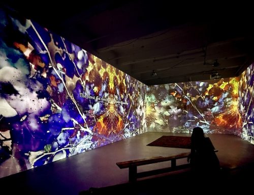 JERSEY CITY “Qualia y Perennial Land – The Data Forest”, de Laia Cabrera e Isabelle Duverge. Del 6 al 26 de junio de 2026. Mana Contemporary